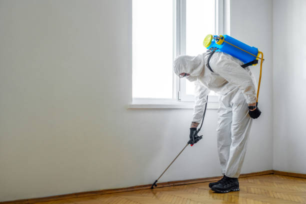 Mountainair, NM Pest Control Company